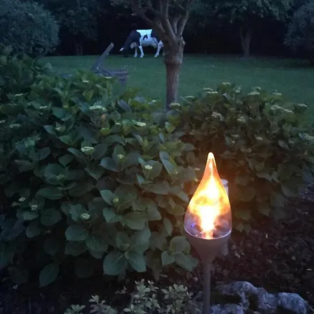 La De Lola 3* Waterloo