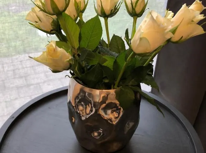 La De Lola 3* Βατερλό